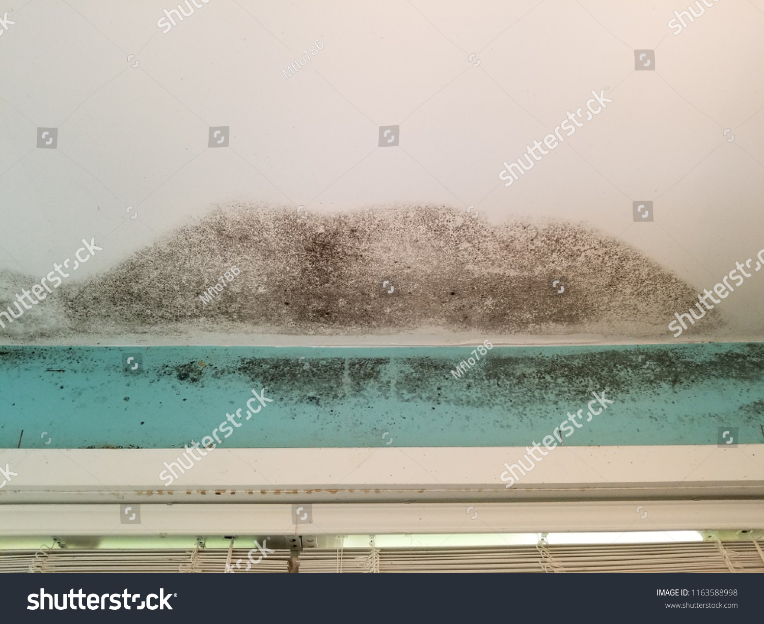 Mold Damage On Ceiling Roof Leak Stock Photo Edit Now