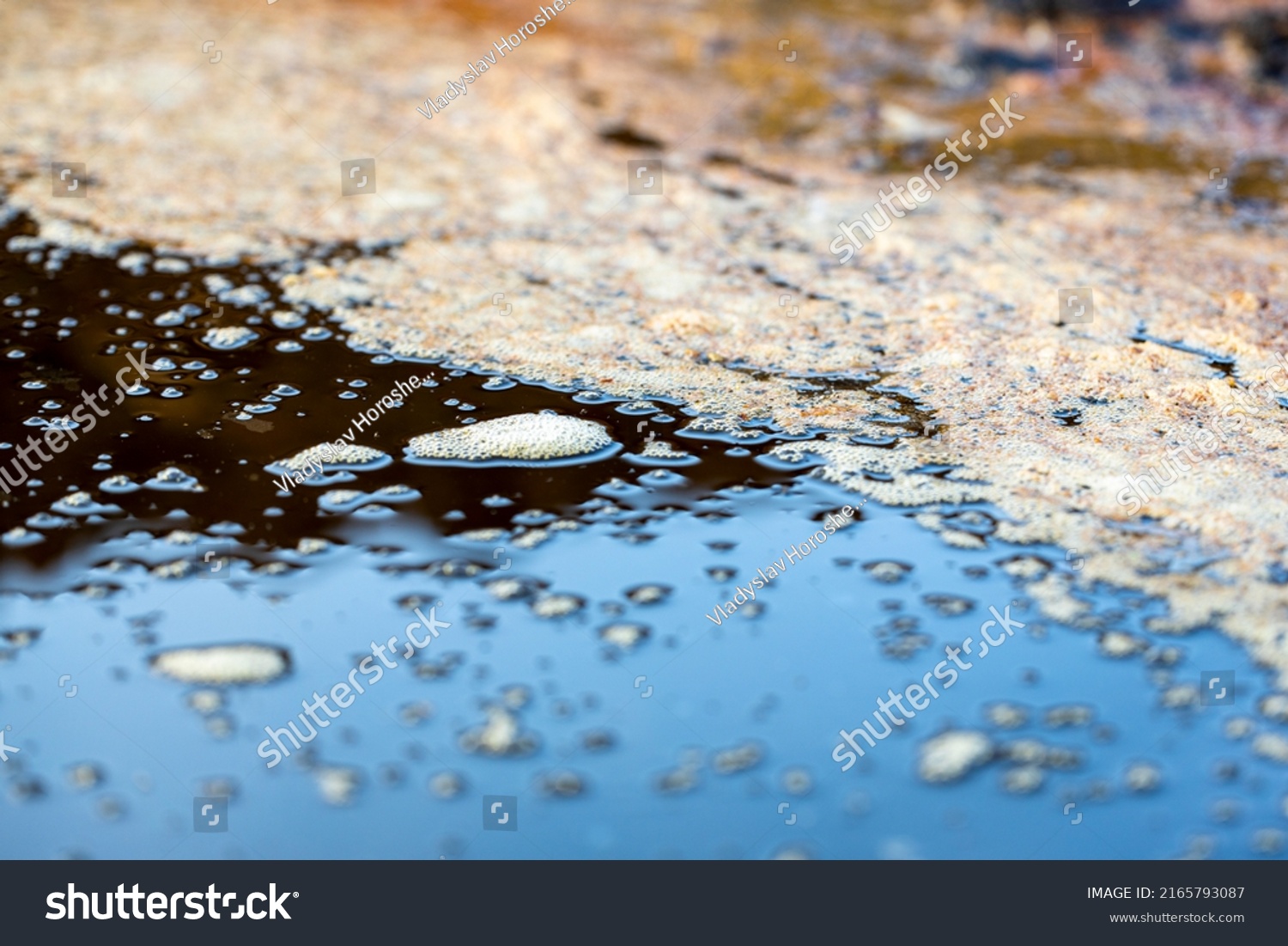 Mold Floats Dirty Water Dirty Swamp Stock Photo 2165793087 | Shutterstock