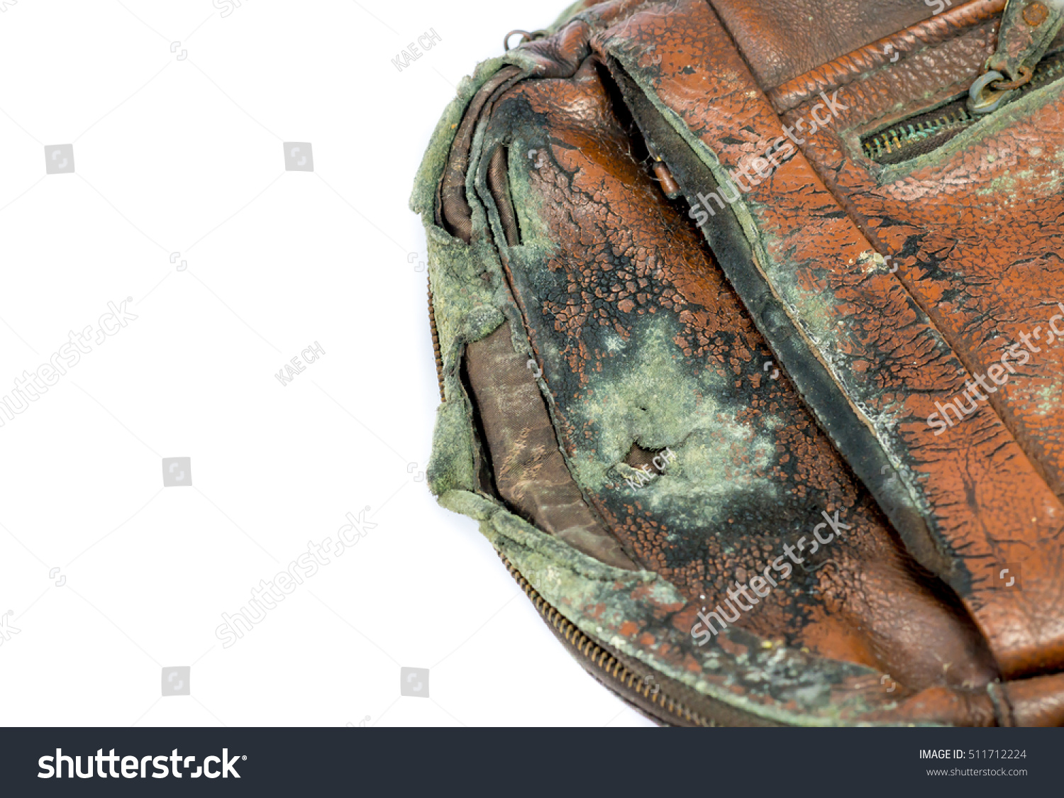 moldy baseball glove