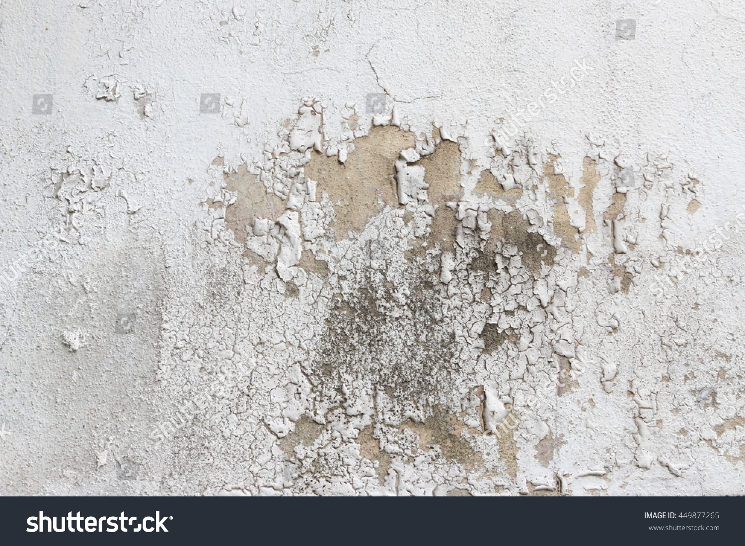 Mold On Wall Dirty Wallpeeling Paint Stock Photo 449877265 - Shutterstock