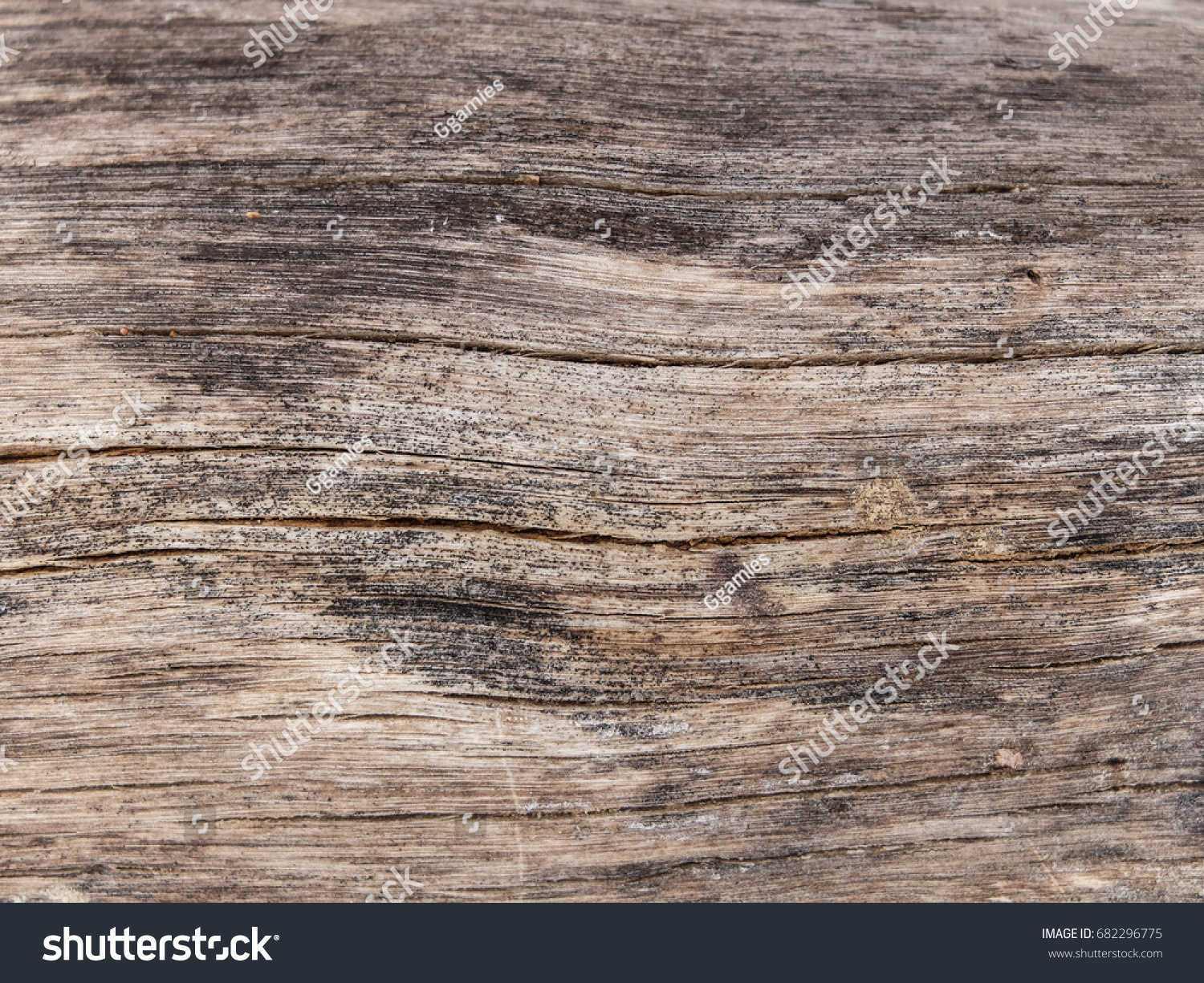 Moldy Wood Texture Stock Photo 682296775 | Shutterstock