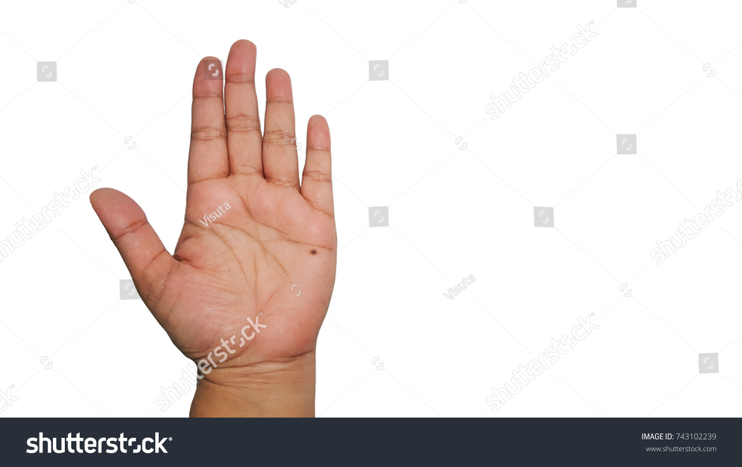 Mole On Left Hand Asian Woman Stock Photo Edit Now 743102239 https www shutterstock com image photo mole on left hand asian woman 743102239