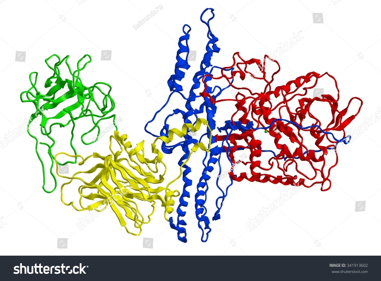 Molecular Structure Botulinum Toxin Typ A Stock Illustration 341913602 ...