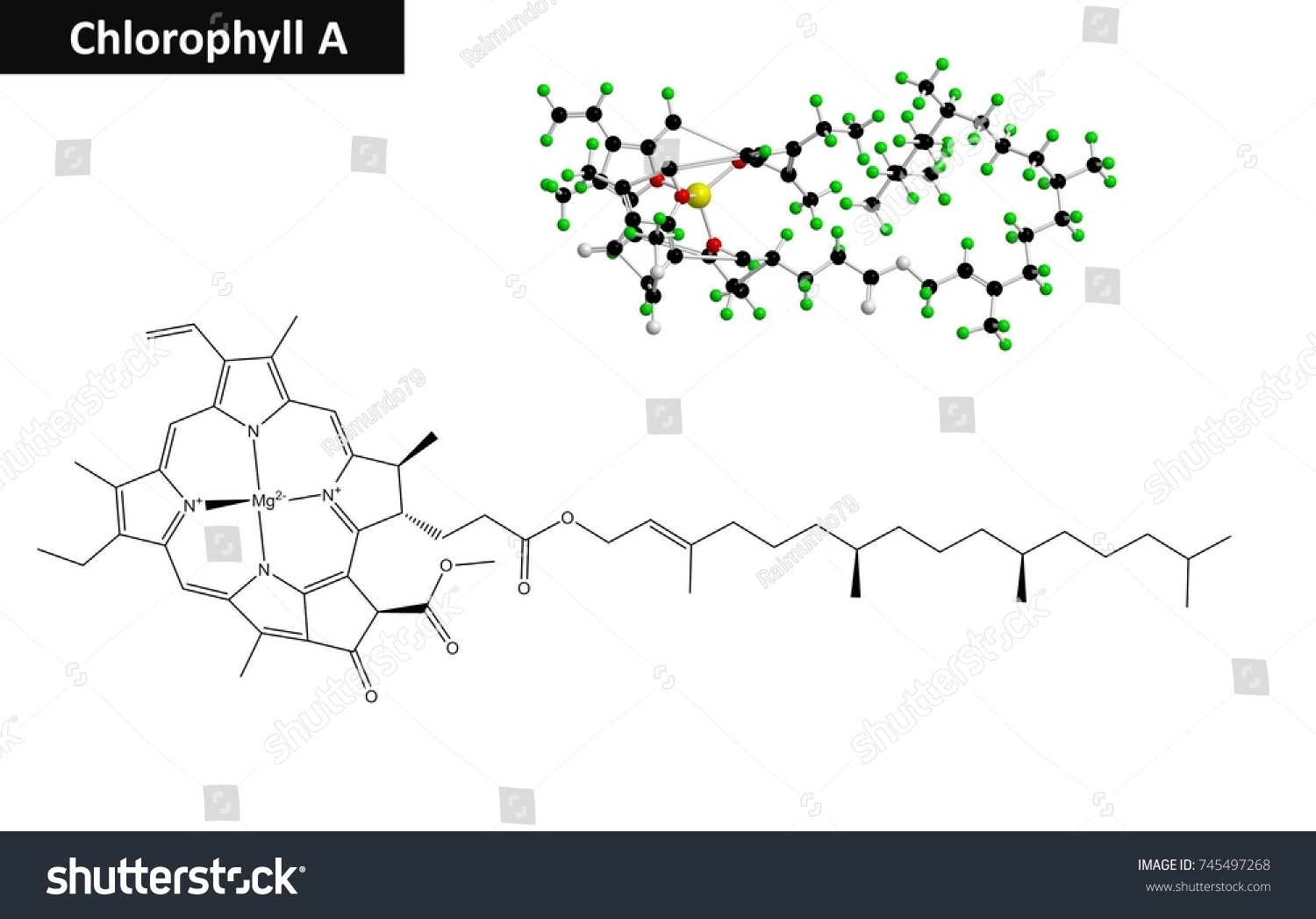 Molecular Structure Chlorophyll Plant Colorant 3d Stock Illustration ...