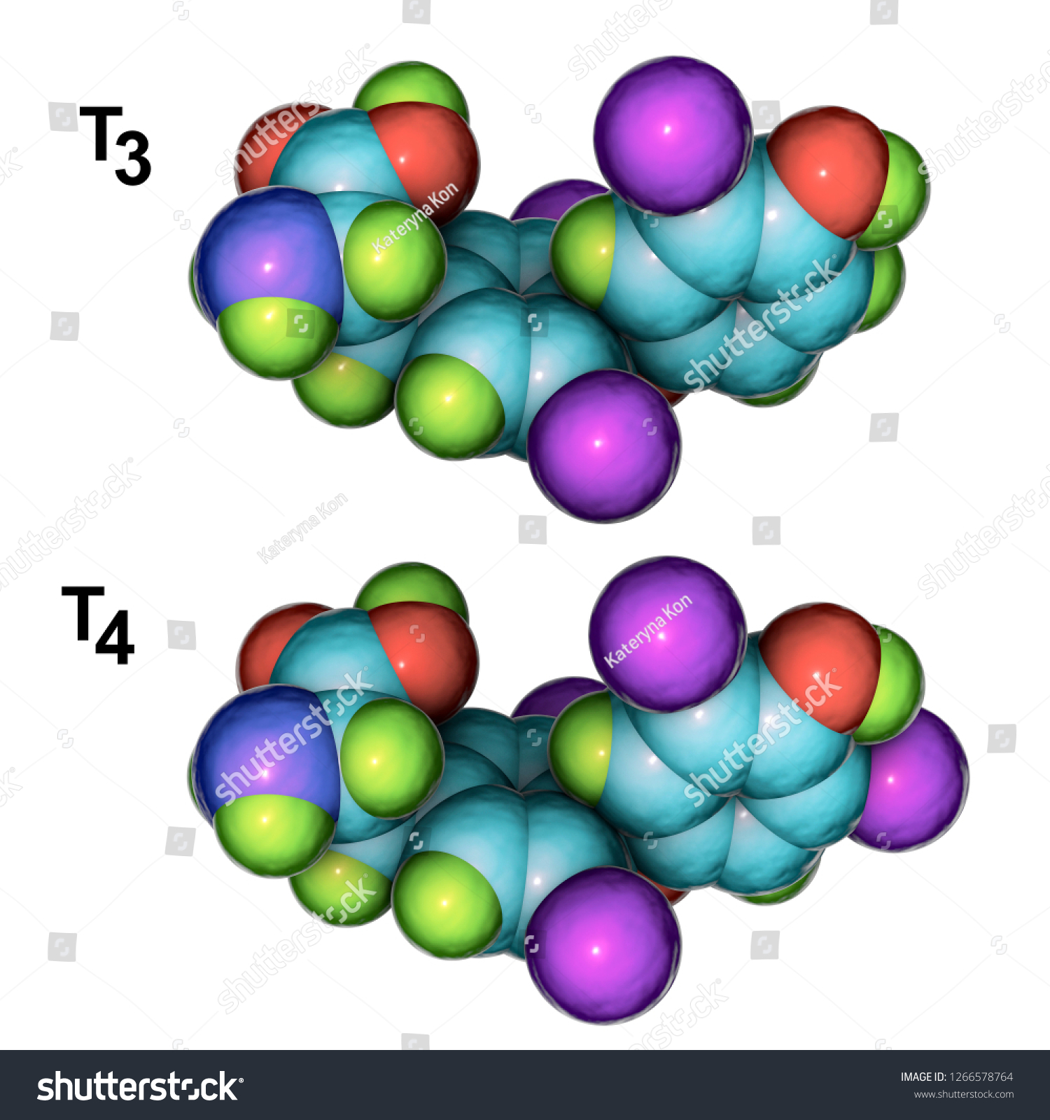 Molecules Thyroid Hormones T3 T4 3d Ilustrações Stock 1266578764 Shutterstock 9827