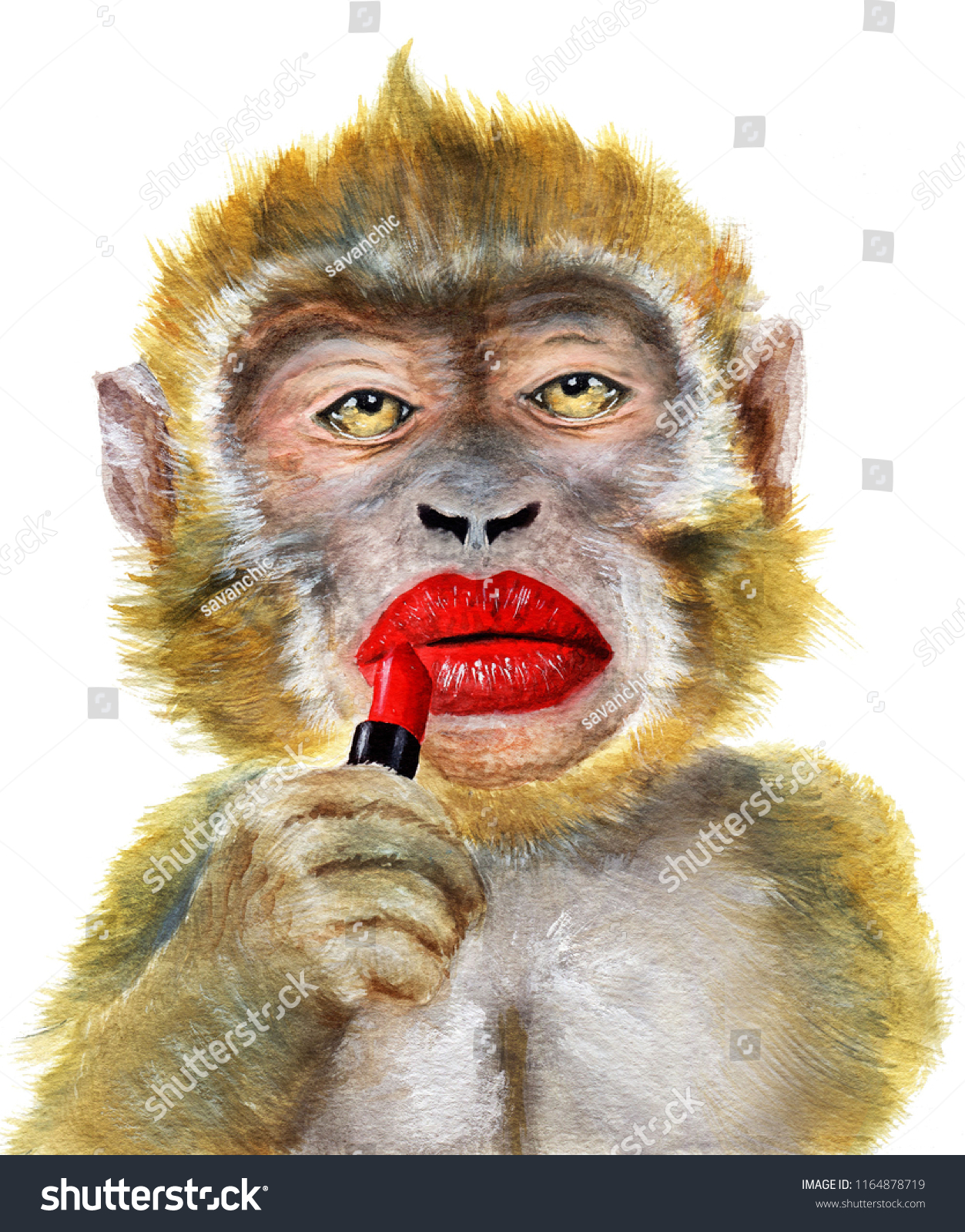 Animals Lipstick Images Stock Photos Vectors Shutterstock Animals Lipstick Images Stock Photos Vectors Shutterstock