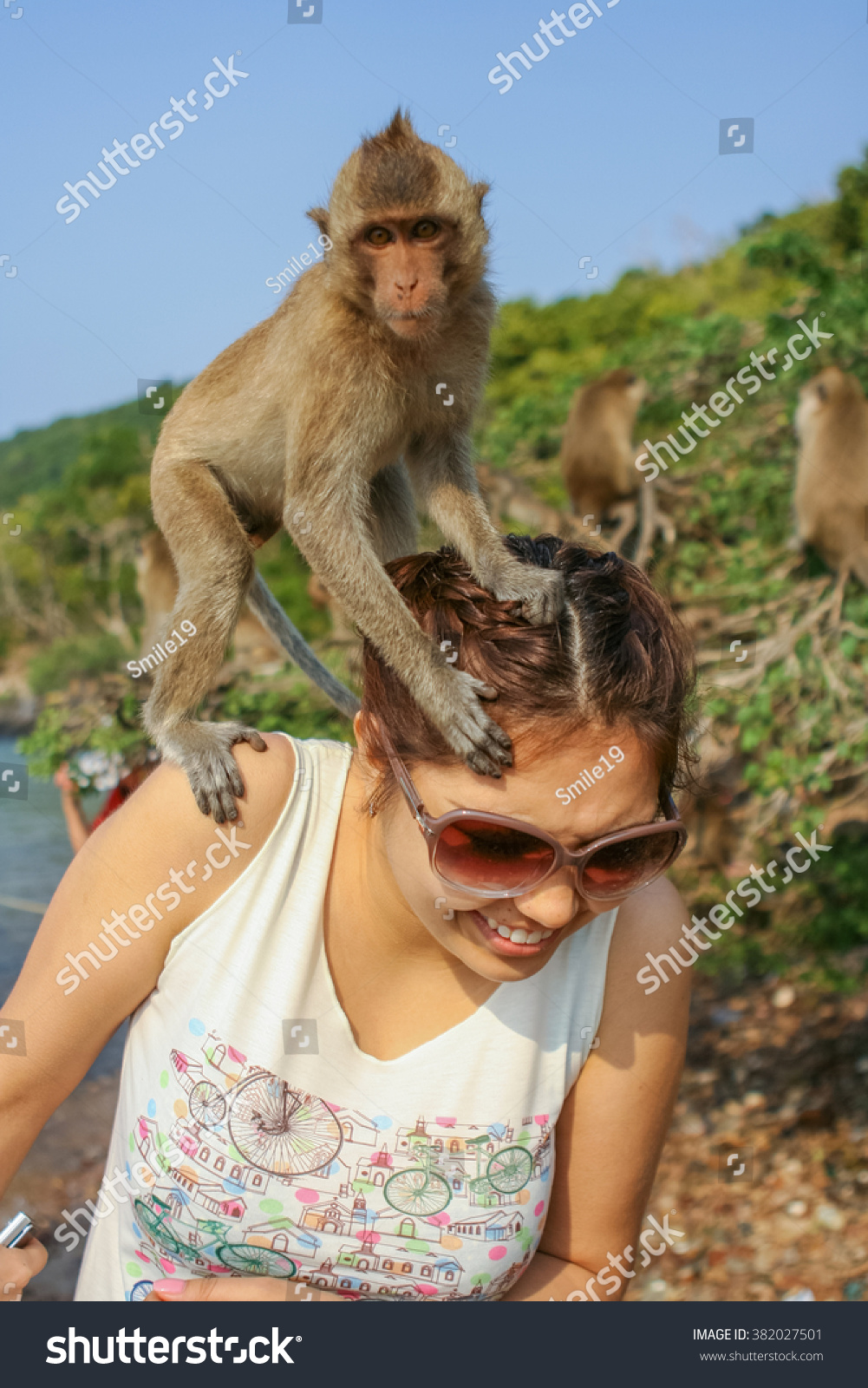 Rhesus monkey caucasian ideas