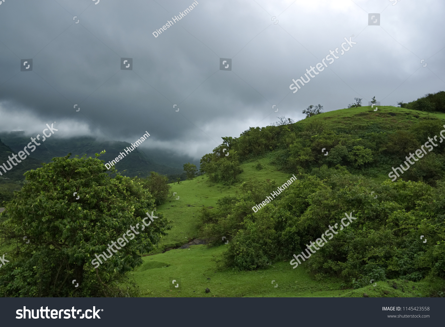 Monsoon Landscape Tamhini Ghat Near Pune Stock Photo 1145423558 ...