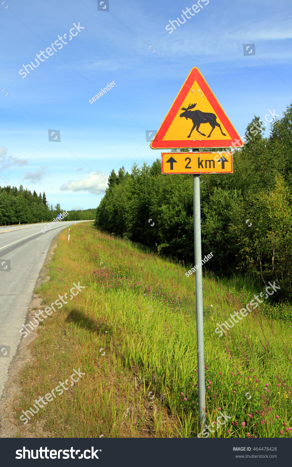 Moose Traffic Sign Stock Photo (Edit Now) 464478428