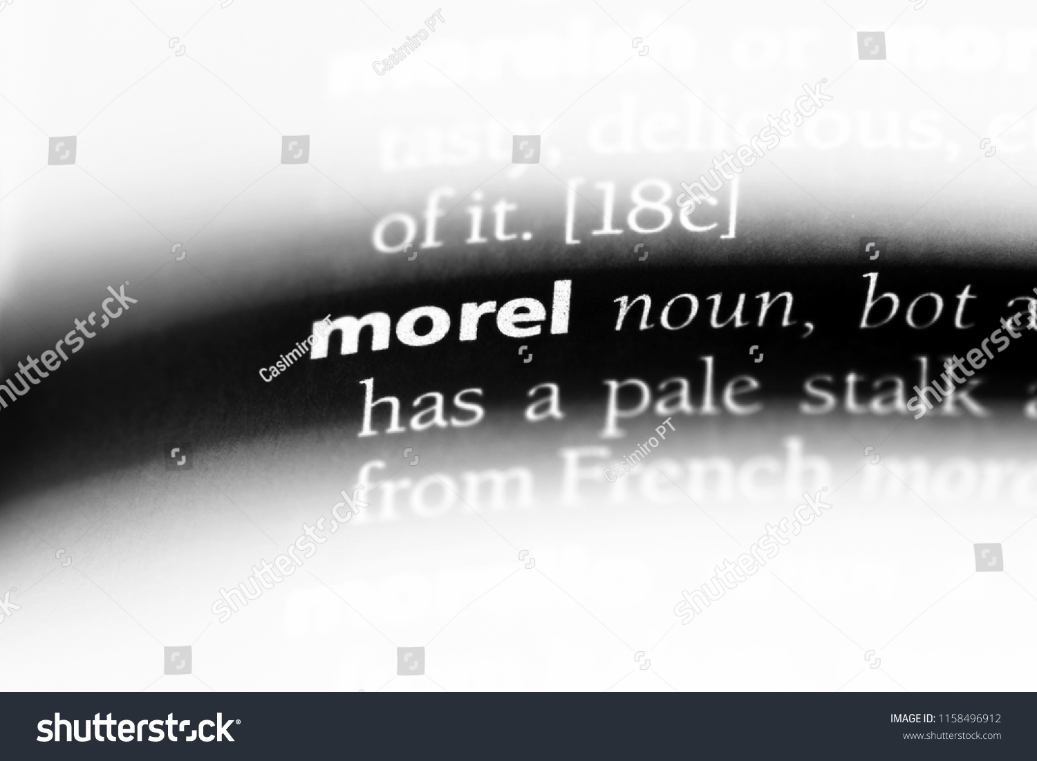Morel Word Dictionary Morel Concept Stock Photo 1158496912  Shutterstock