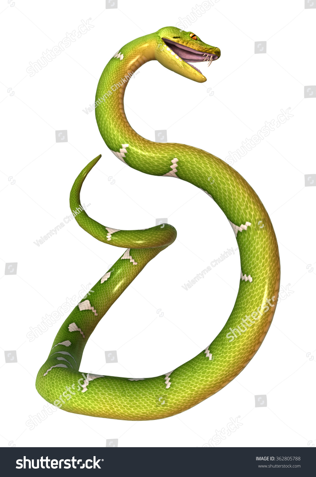 Morelia Viridis Green Tree Python Herpetoculture Stock Illustration ...