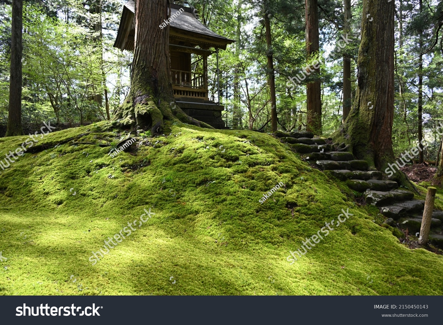 moss-old-japanese-buildings-stock-photo-2150450143-shutterstock