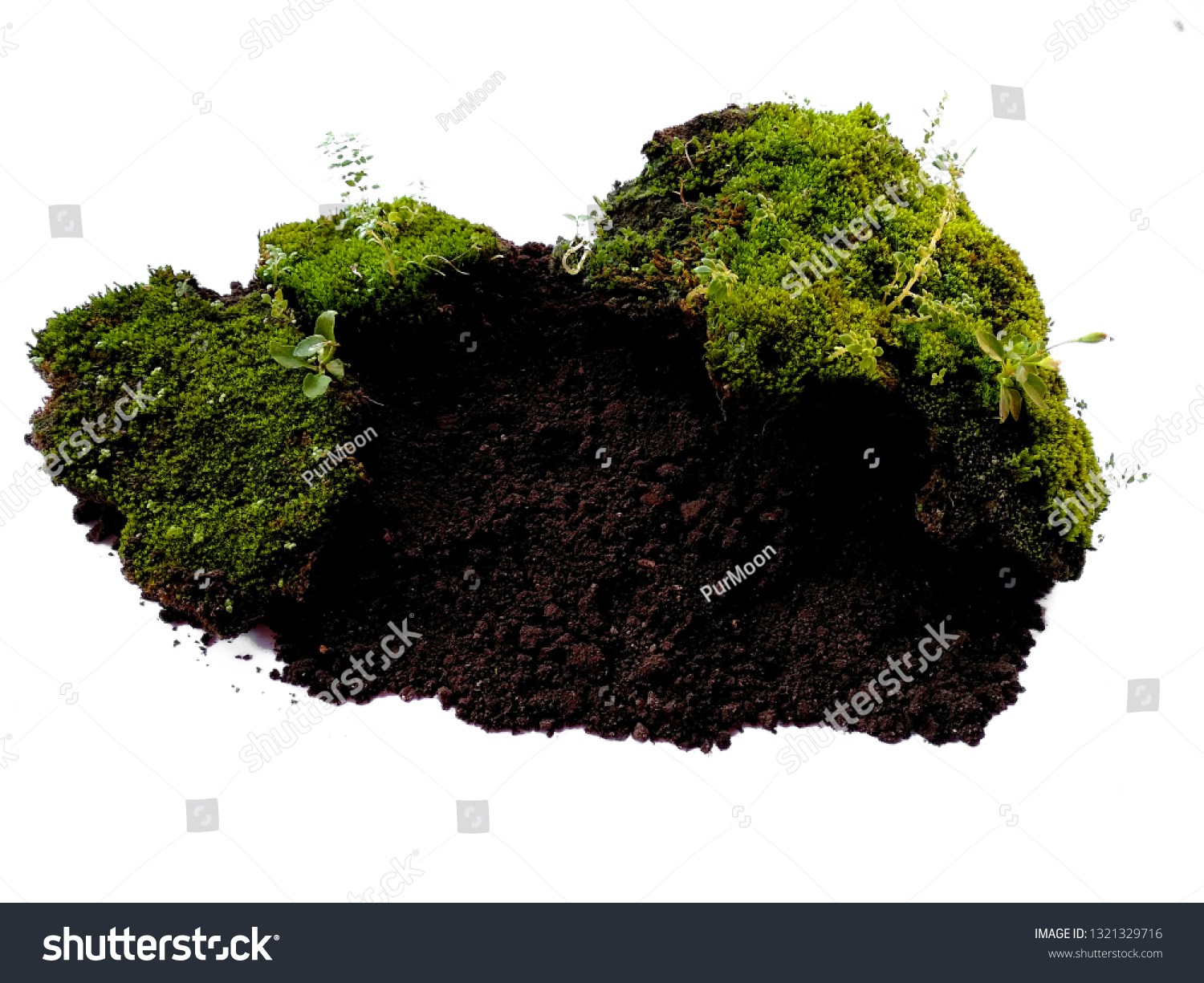 Moss Texture Bakground Green Moss On Stock Photo Edit Now 1321329716