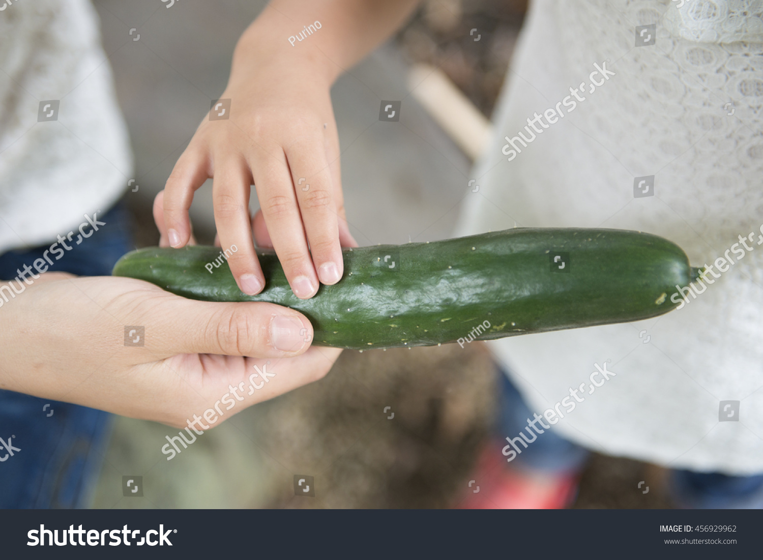 Can nursing mother cucumbers 90 Can nursing mother cucumbers 77