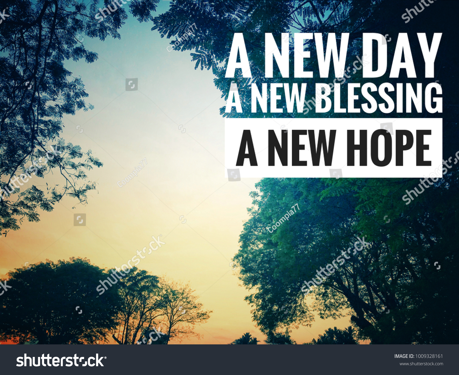 Motivational Inspirational Quotes New Day New Stock Photo Edit Now