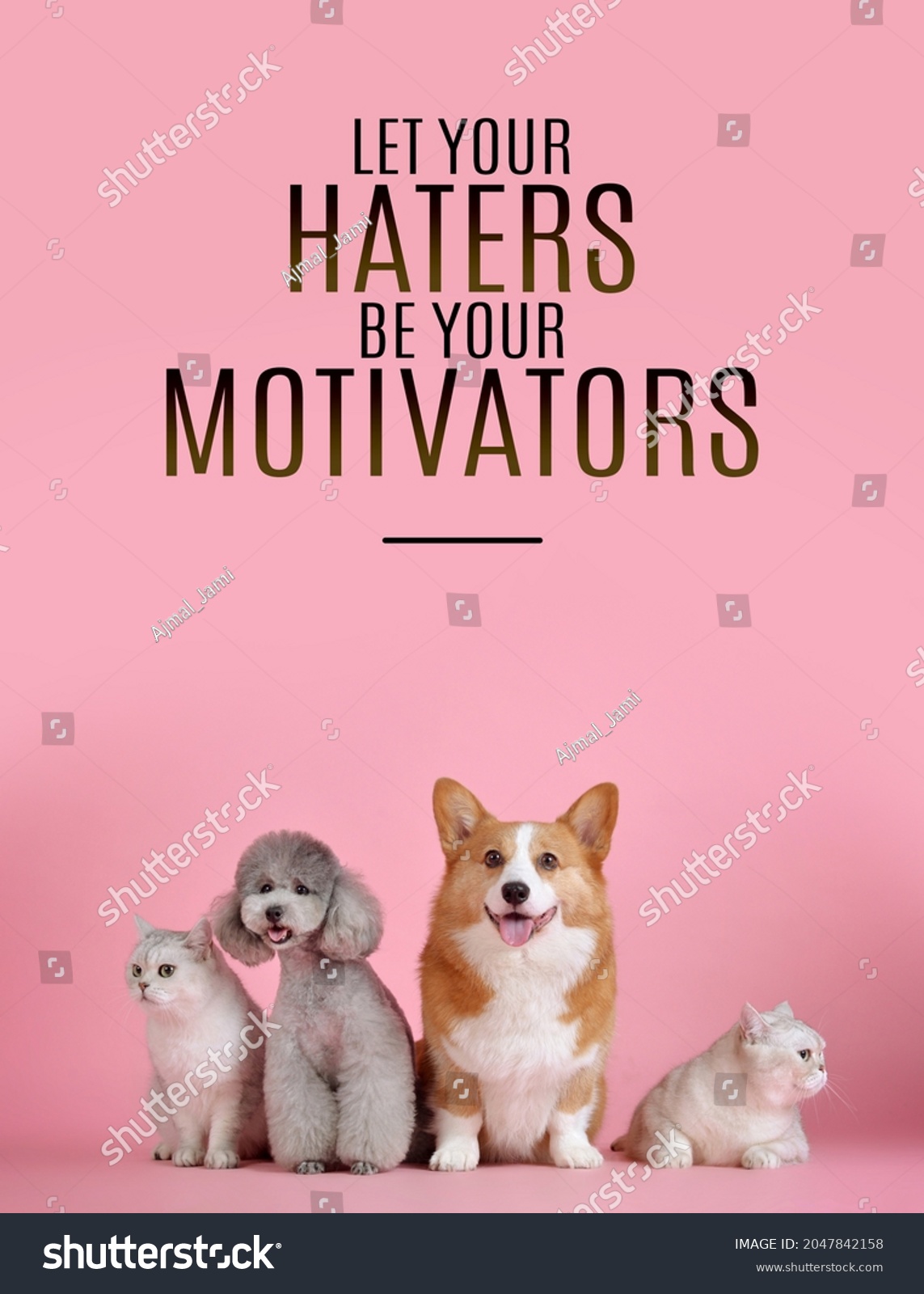 250 Cute Dog Quotes Stock Photos Images Photography Shutterstock