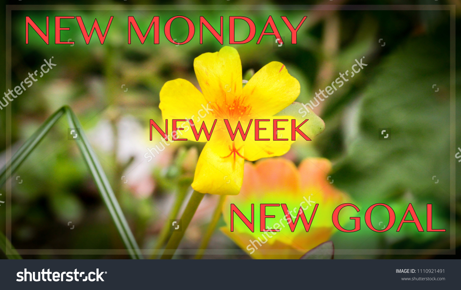 Motivational Inspirational Quotes New Monday New Week New Goal Stock