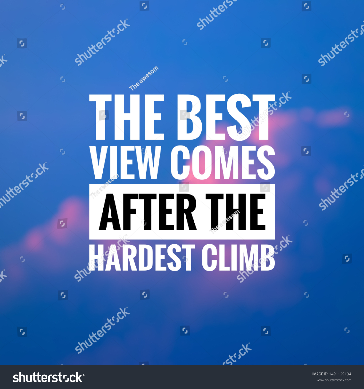 Motivational Quotes Life Success Stock Photo 1491129134 | Shutterstock