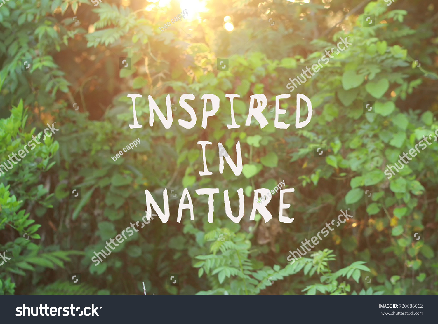 Motivational Quotes Inspired Nature Blurred Background Stock Photo