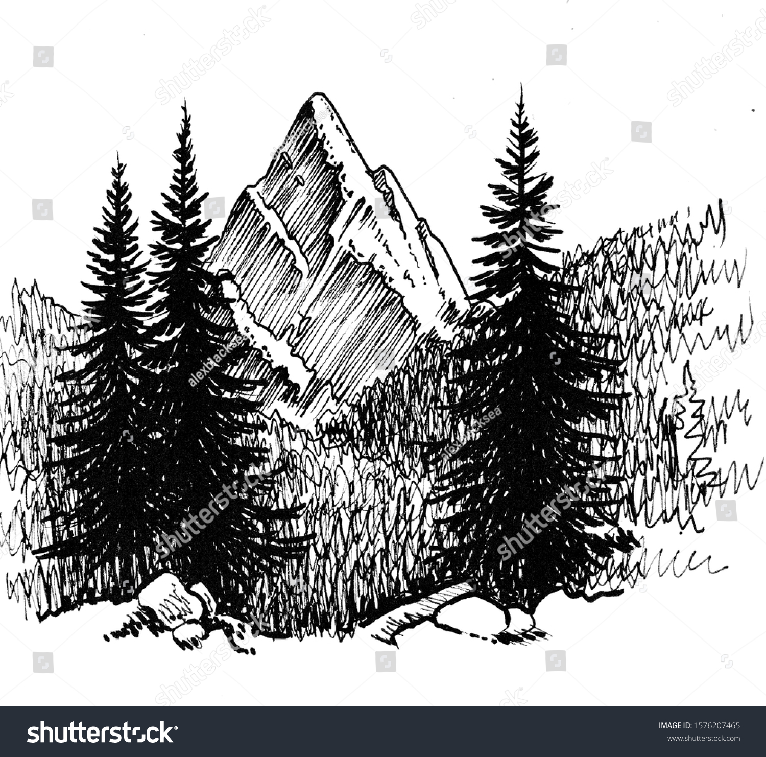 Mountain Forest Ink Black White Drawing Stock Illustration 1576207465