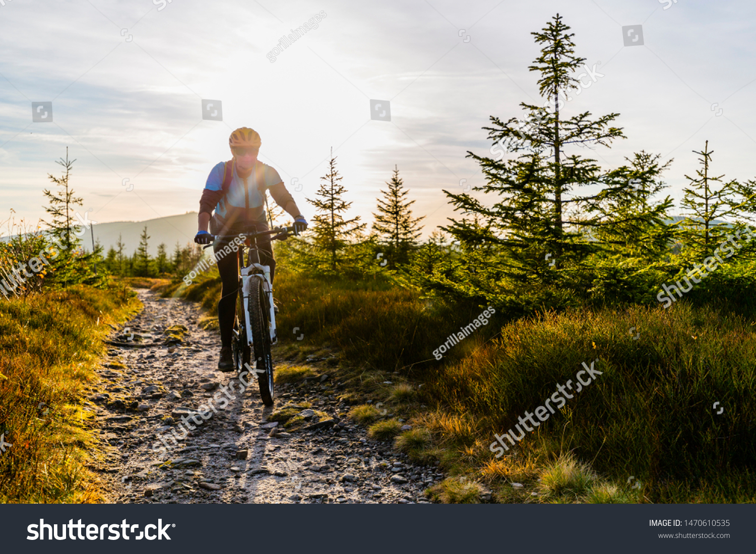 mtb flow trail