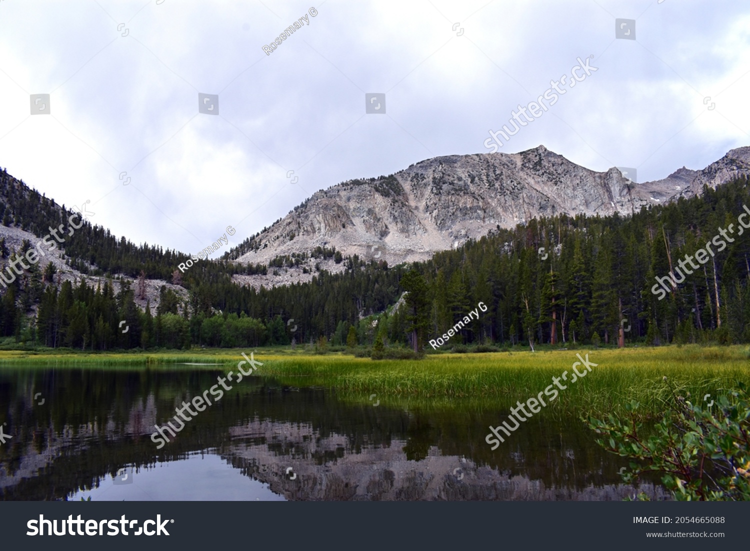 884 Bishop ca Images, Stock Photos & Vectors | Shutterstock