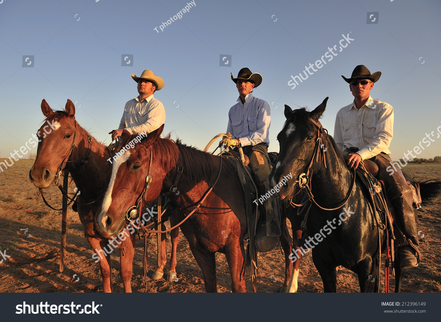 Muleshoe Texas USA March 23 2012 Stock Photo (Edit Now) 212396149