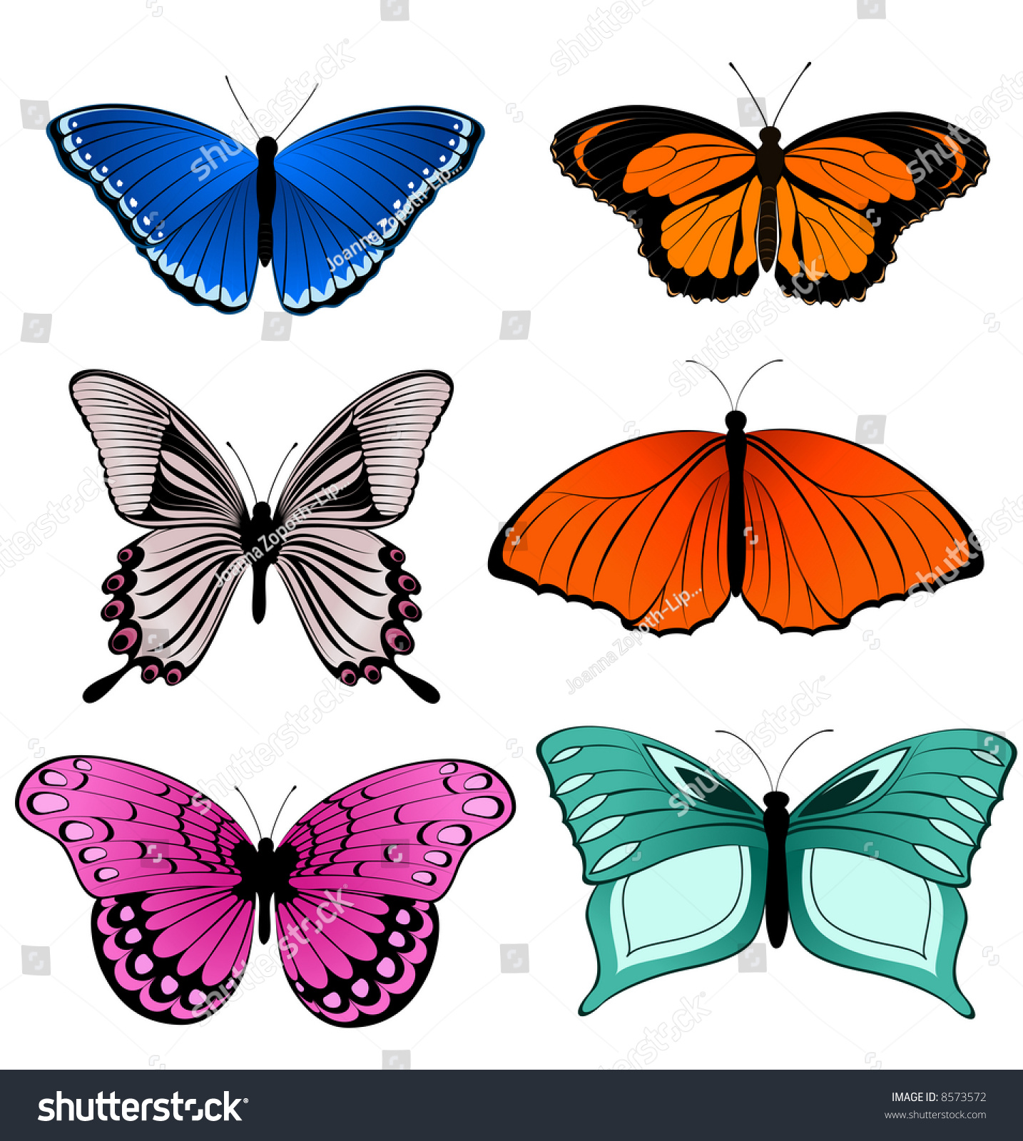 Multicolored Butterflies Stock Photo 8573572 : Shutterstock