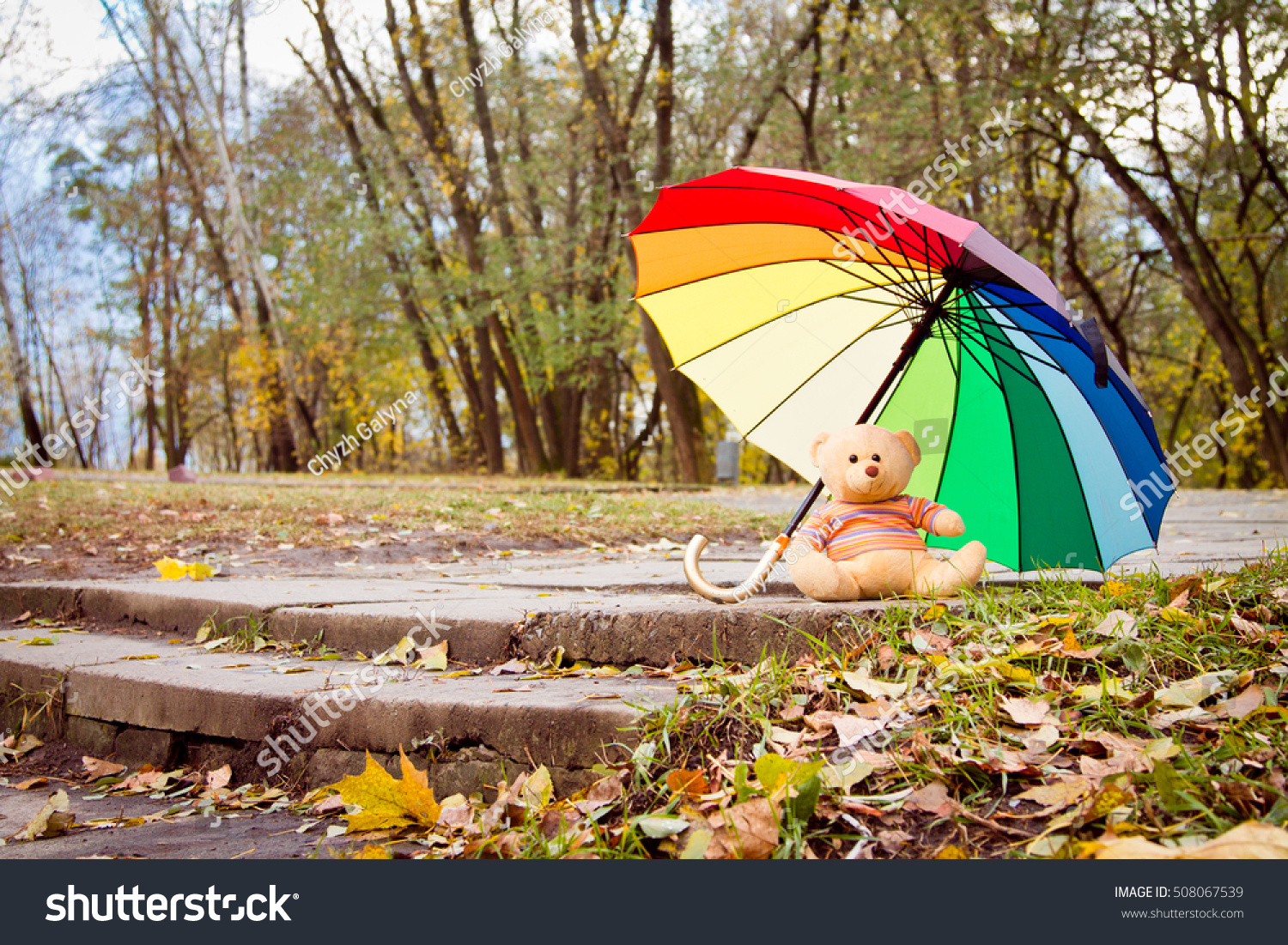 teddy bear with umbrella