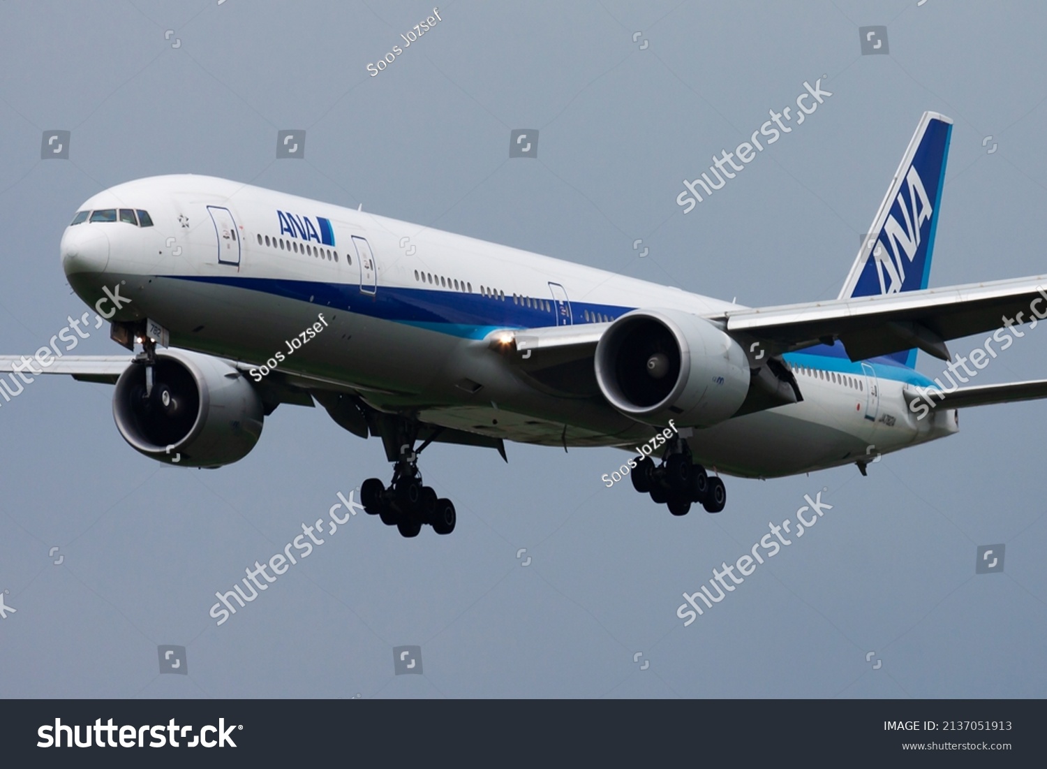 Ana 飛行機 の画像 写真素材 ベクター画像 Shutterstock