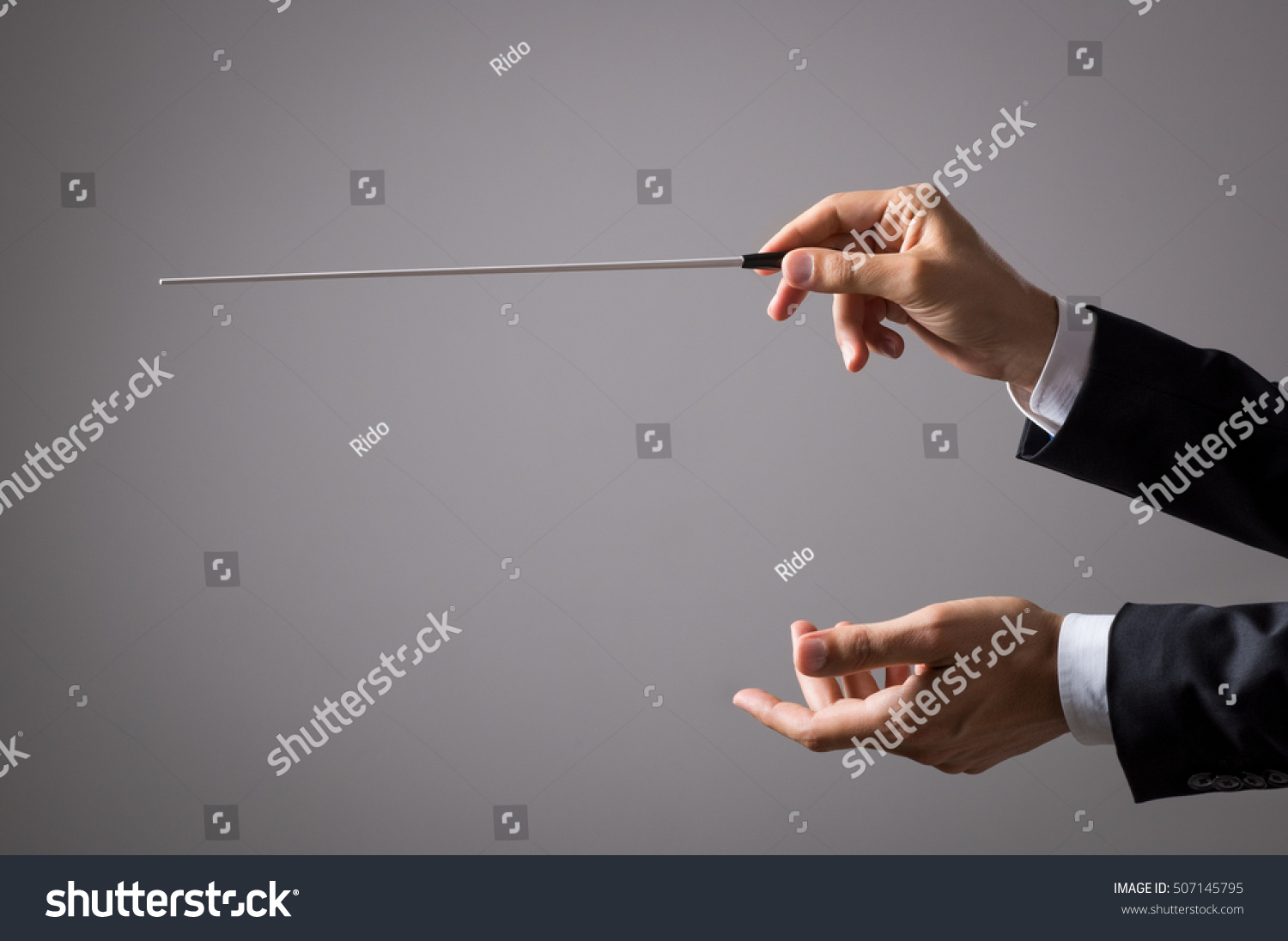 Musician Director Holding Stick Isolated On Stock Photo 507145795 ...