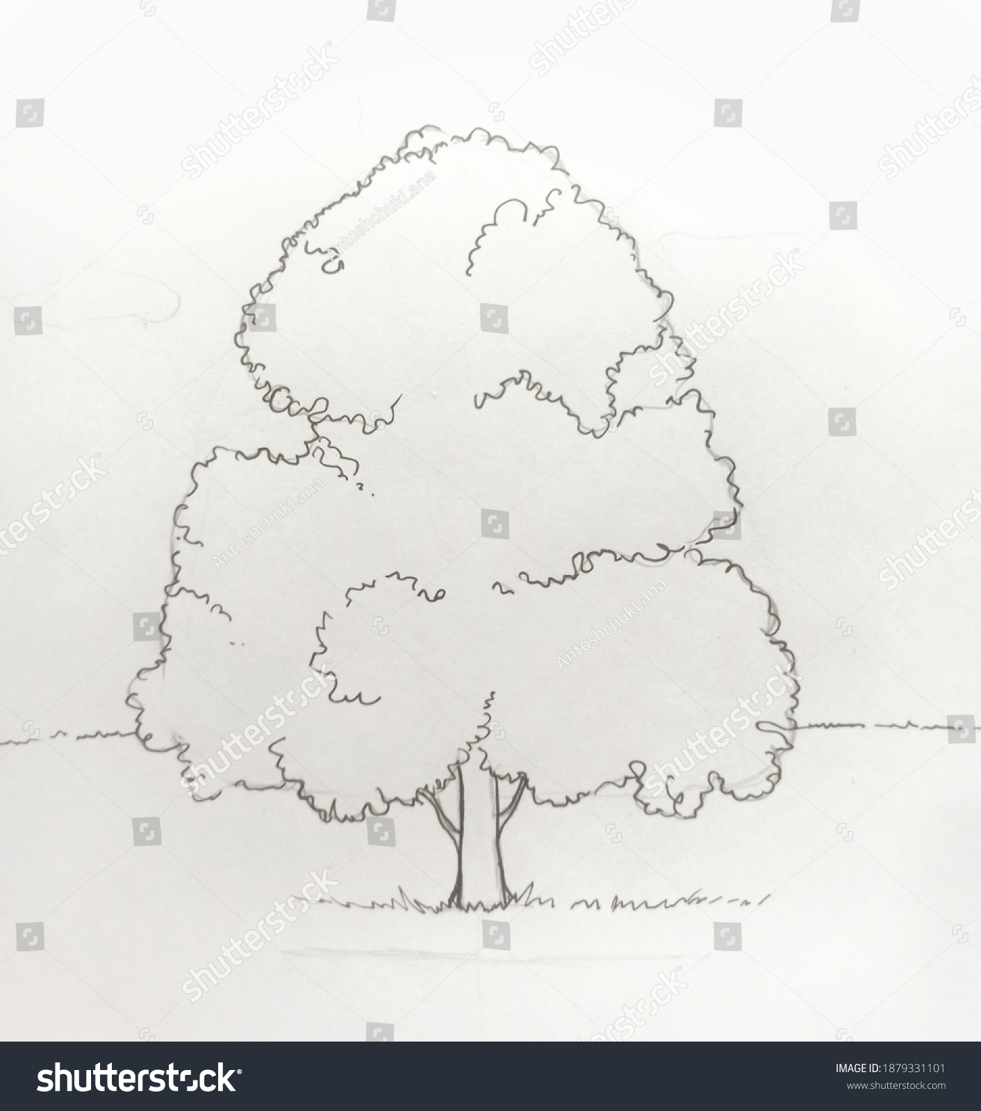 My Drawing Black Outline Oak Tree Stock Illustration 1879331101 ...