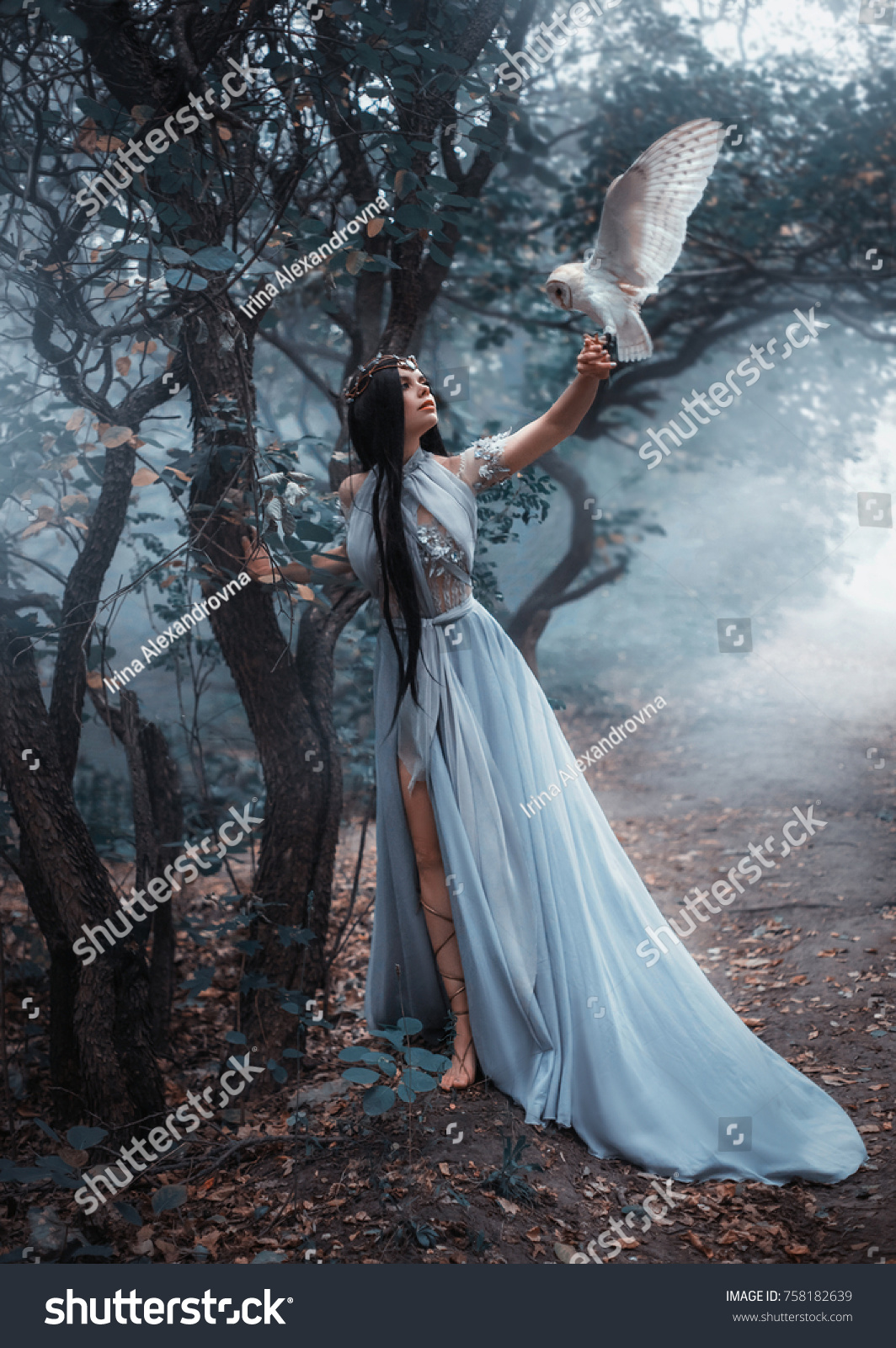 https://image.shutterstock.com/z/stock-photo-mysterious-beautiful-woman-witch-blue-silk-dress-magic-autumn-forest-tree-blue-fog-girl-princess-758182639.jpg