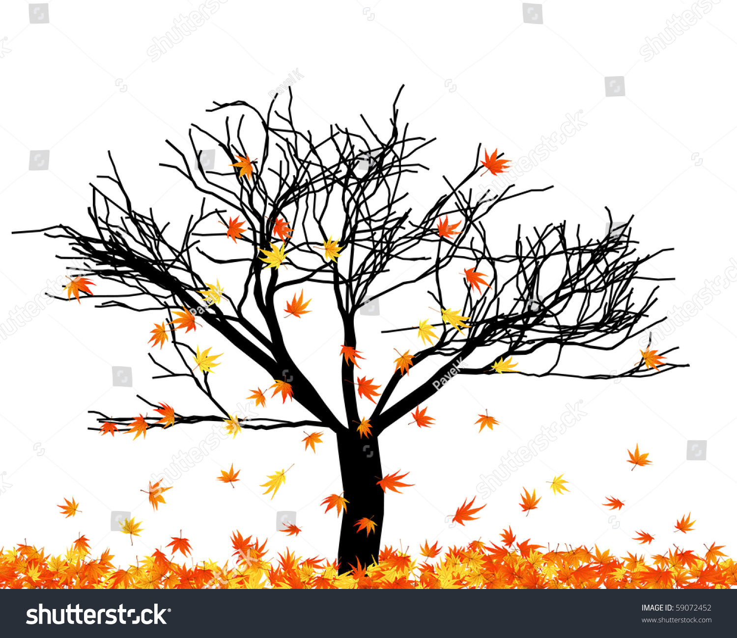 Naked Autumn Maple Tree Falling Leaves Stock Illustration Shutterstock