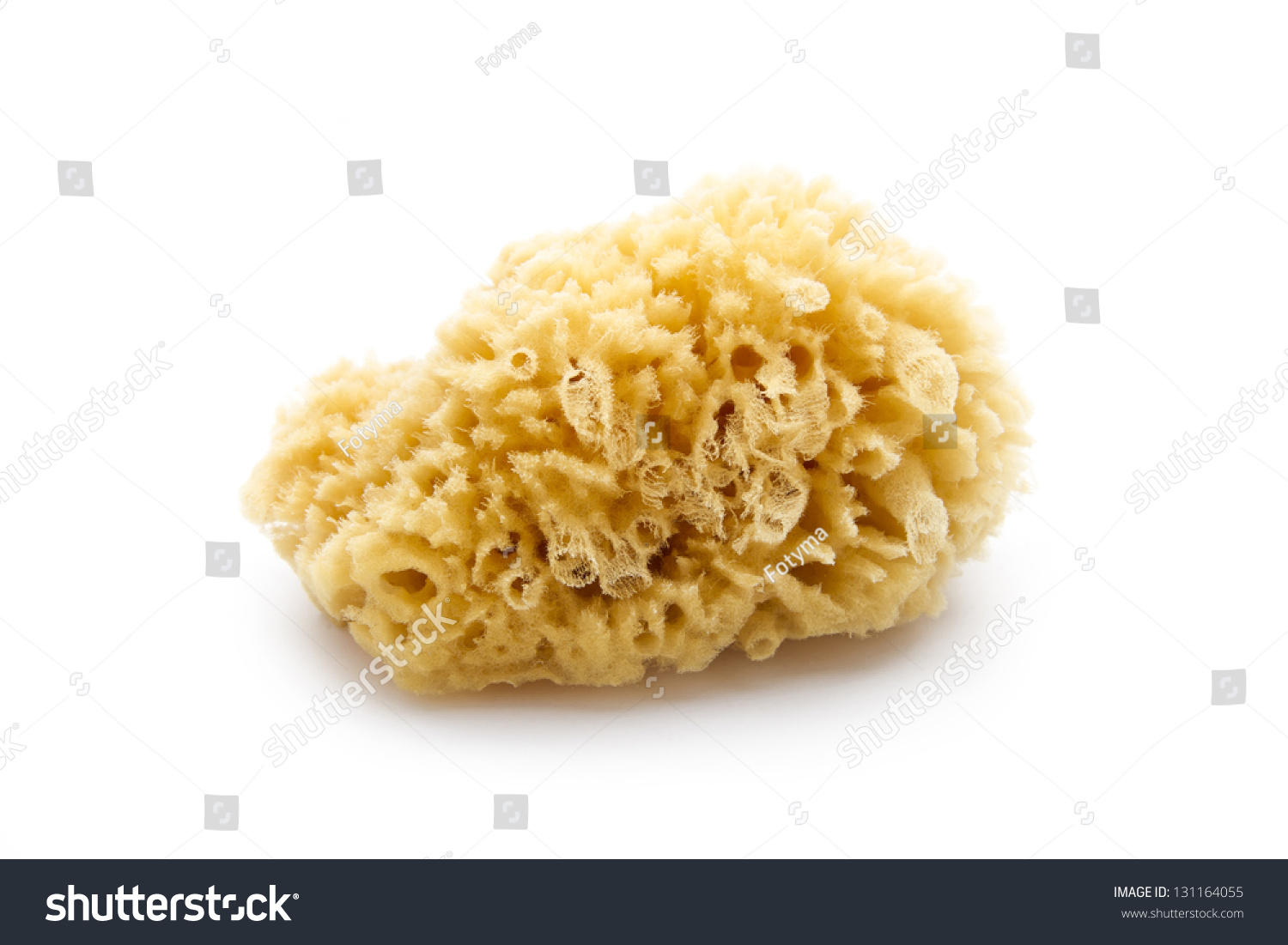 Natural Sea Sponge Isolated On White Background Stock Photo 131164055 ...