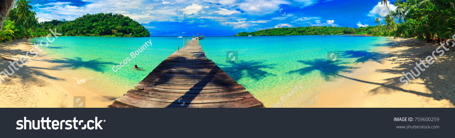 Panorama sandy tropical beach/ Palm and tropical beach 