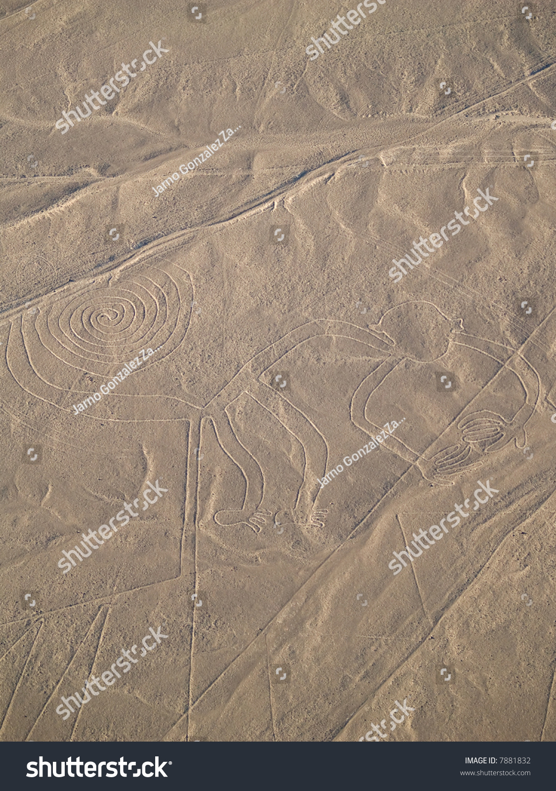 Nazca Lines Peruvian Desert Stock Photo 7881832 : Shutterstock