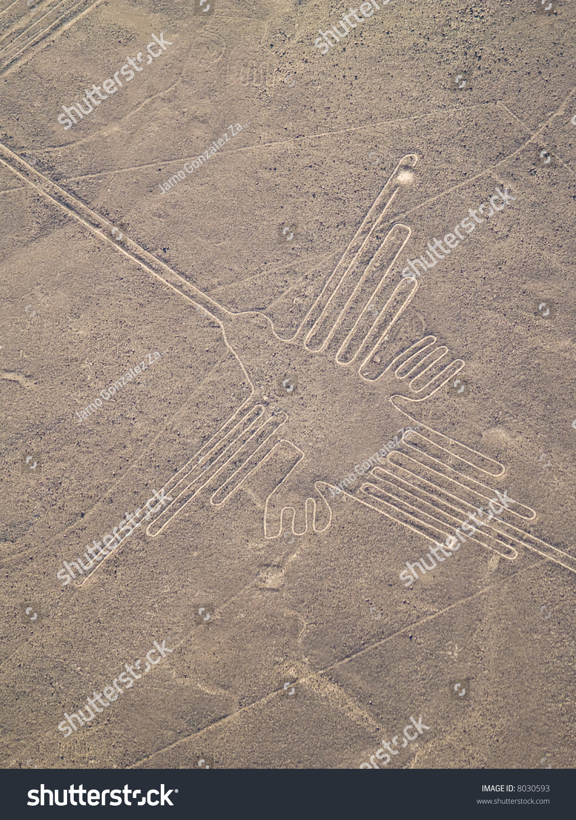 Nazca Lines Peruvian Desert Stock Photo 8030593 : Shutterstock