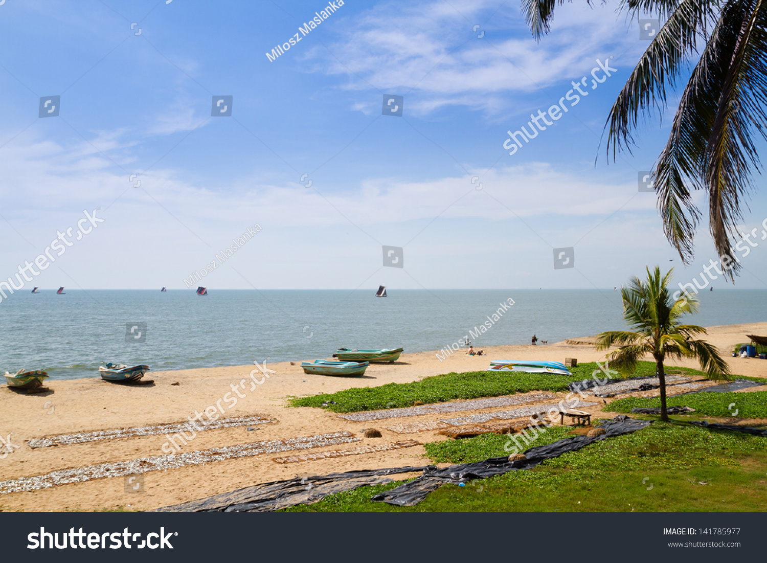 Negombo Beach, Sri Lanka Stock Photo 141785977 : Shutterstock