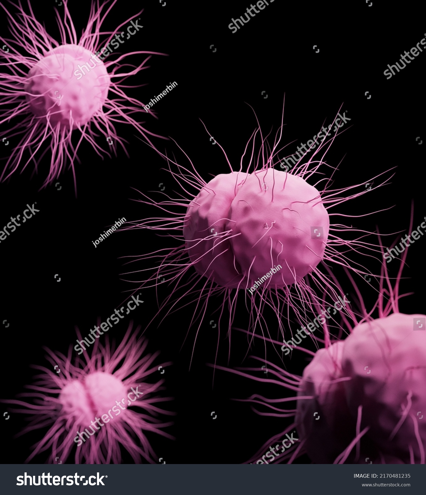 Neisseria Gonorrhoeae Bacteria 3d Rendering Medical Stock Illustration 2170481235 Shutterstock 1397