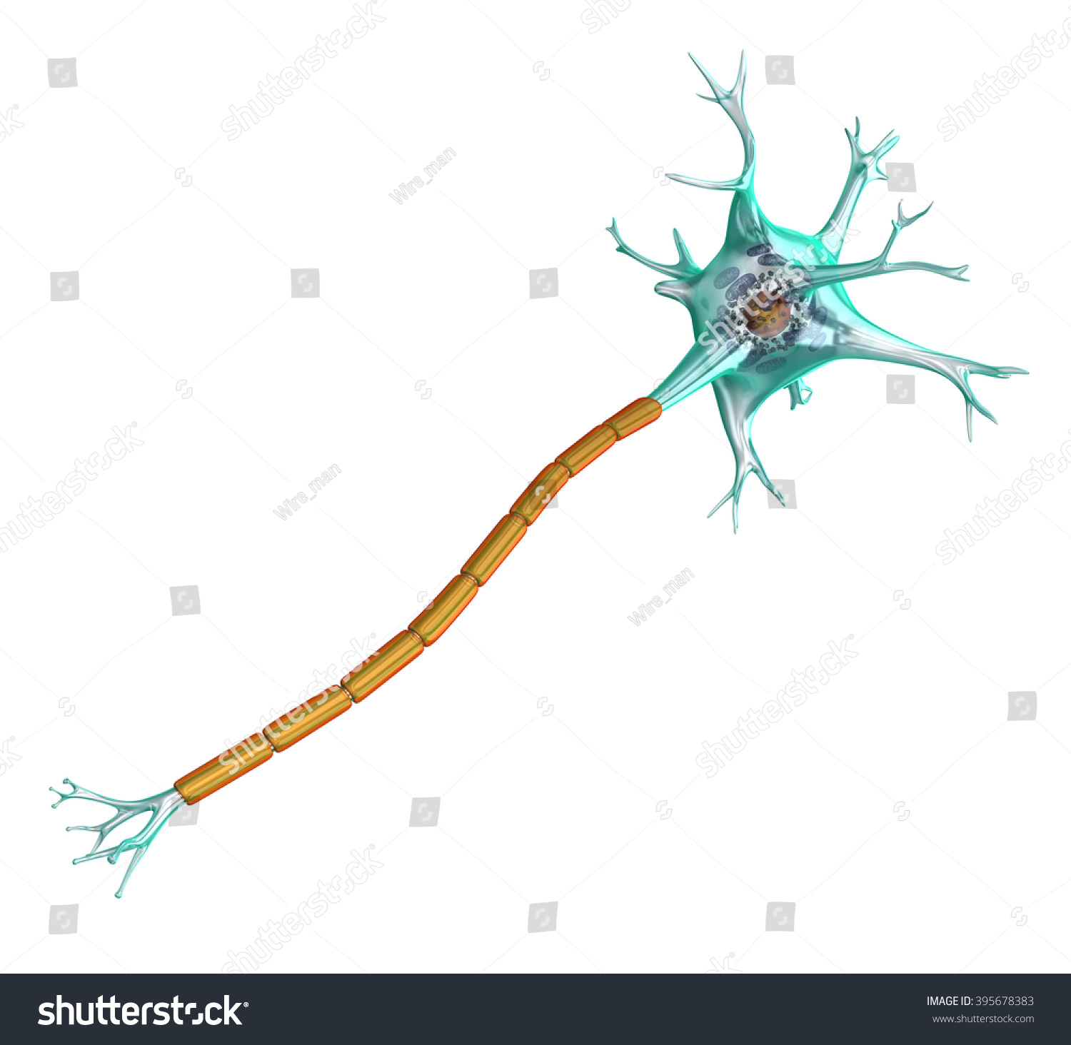 14,152 Nerve Cell 3d Images, Stock Photos & Vectors 