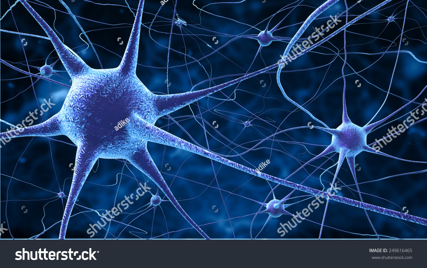 神経細胞 のイラスト素材