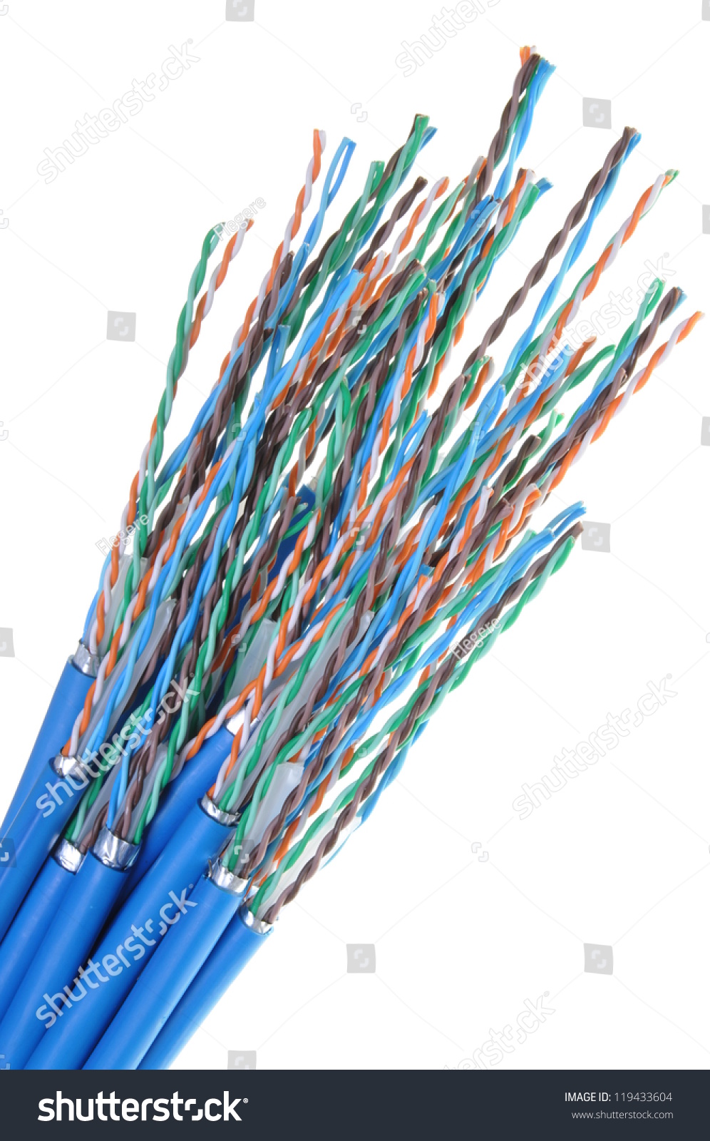 Network Cable Cat 6 Stock Photo 119433604 - Shutterstock