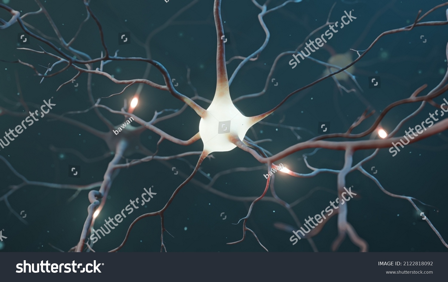 Neuron Signal Transfer Low High Activity Stock Illustration 2122818092