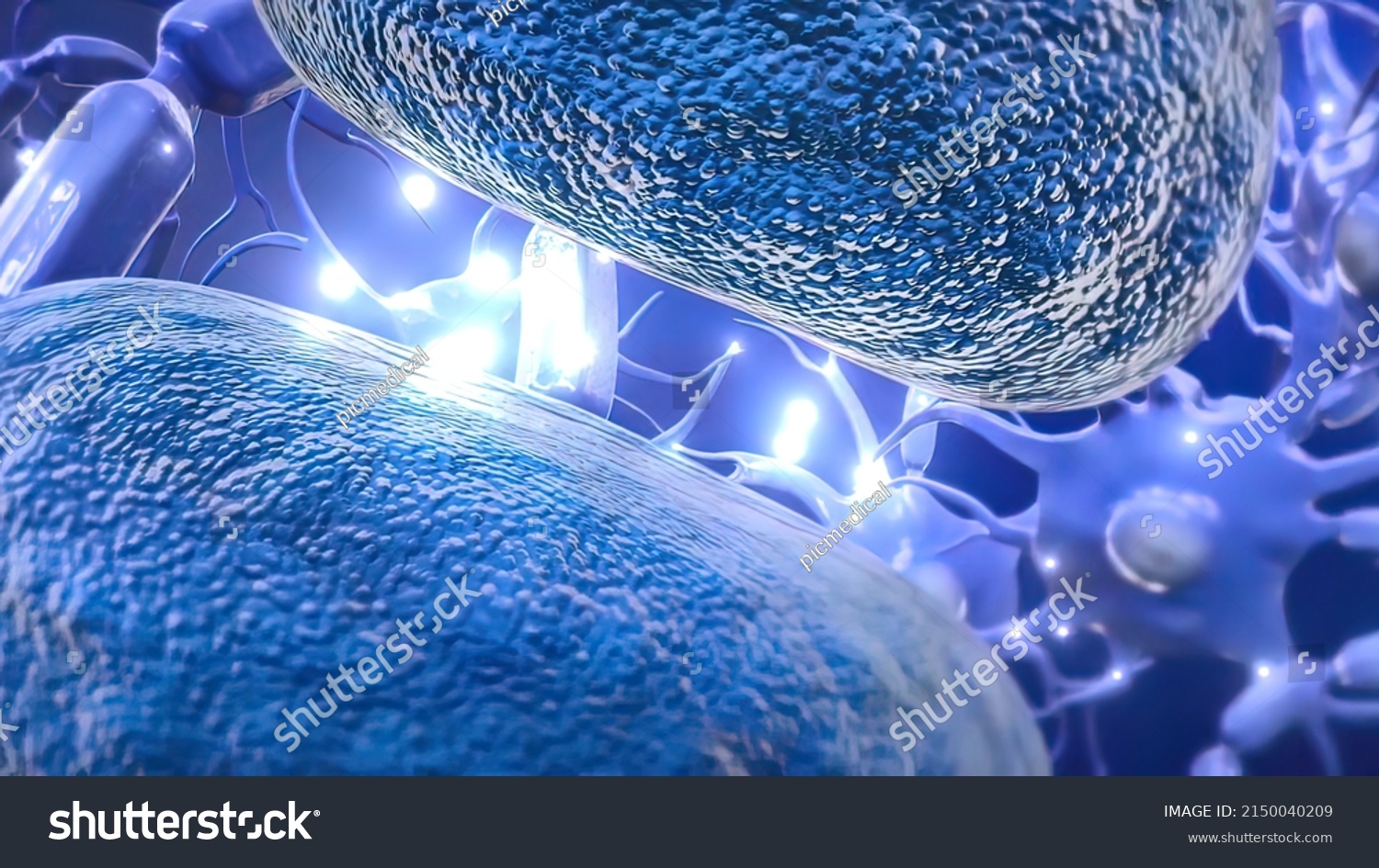 Neurons Fundamental Units Brain Nervous System Stock Illustration Neurons Fundamental Units Brain Nervous System Stock Illustration