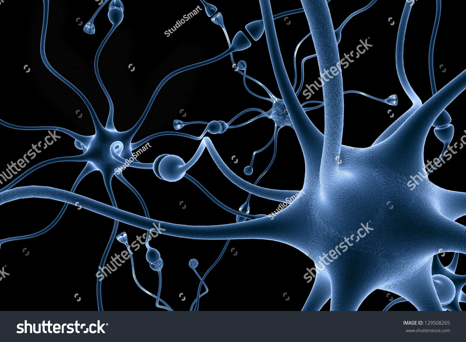 Neurons, Transferring Pulses And Generating Information. Stock Photo ...