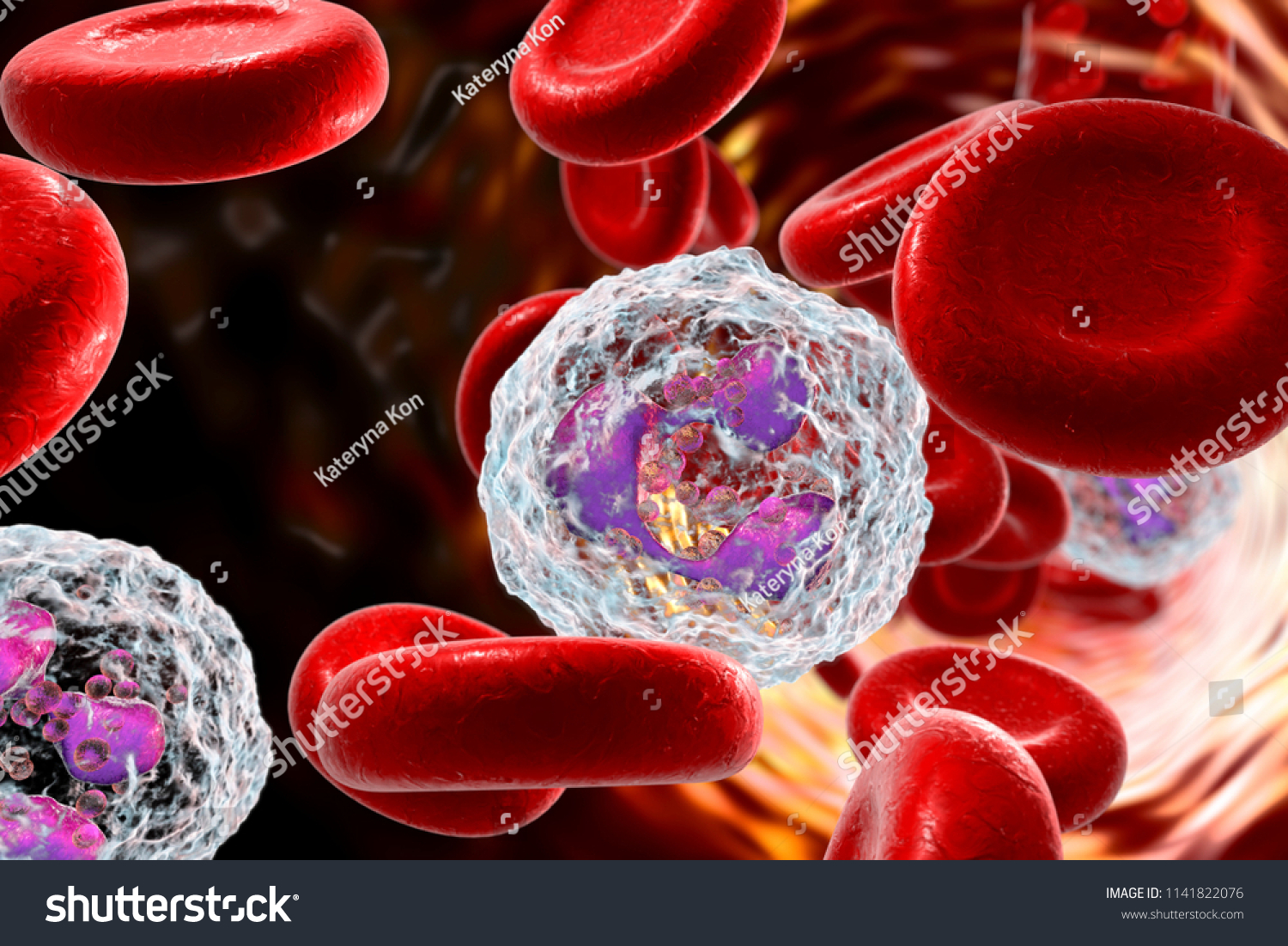 Neutrophil Blood White Blood Cell 3d Stock Illustration 1141822076