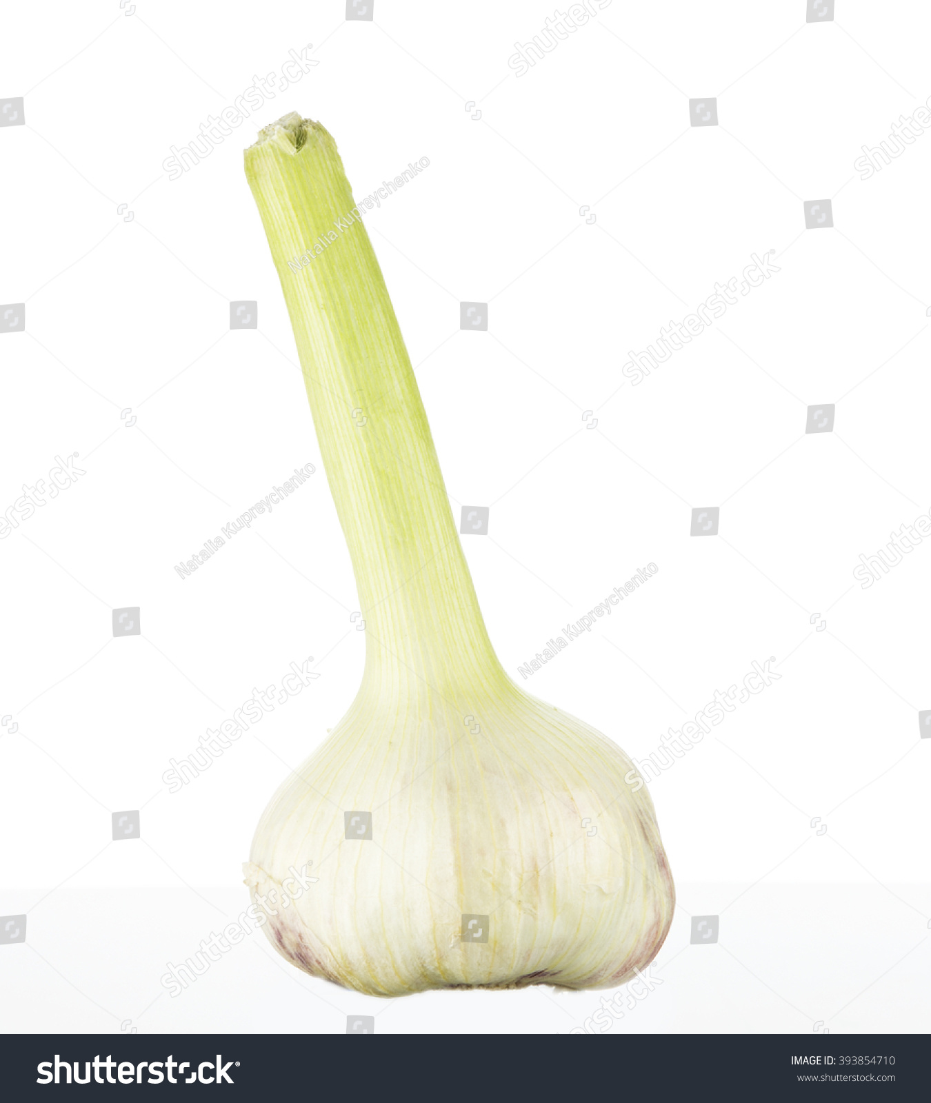 New Garlic Isolated On White Background Stock Photo 393854710