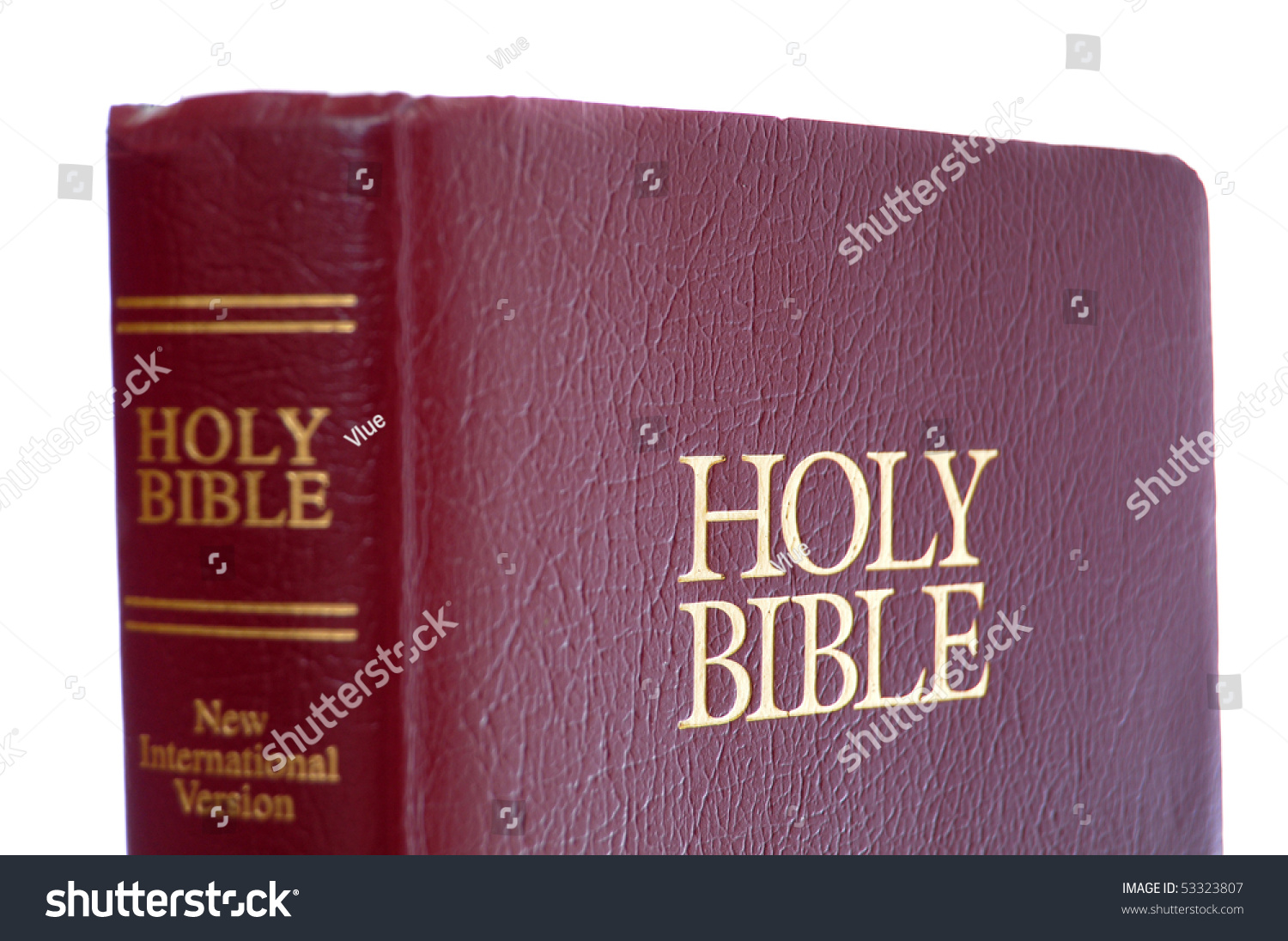 New International Version Holy Bible Red Stock Photo 53323807 