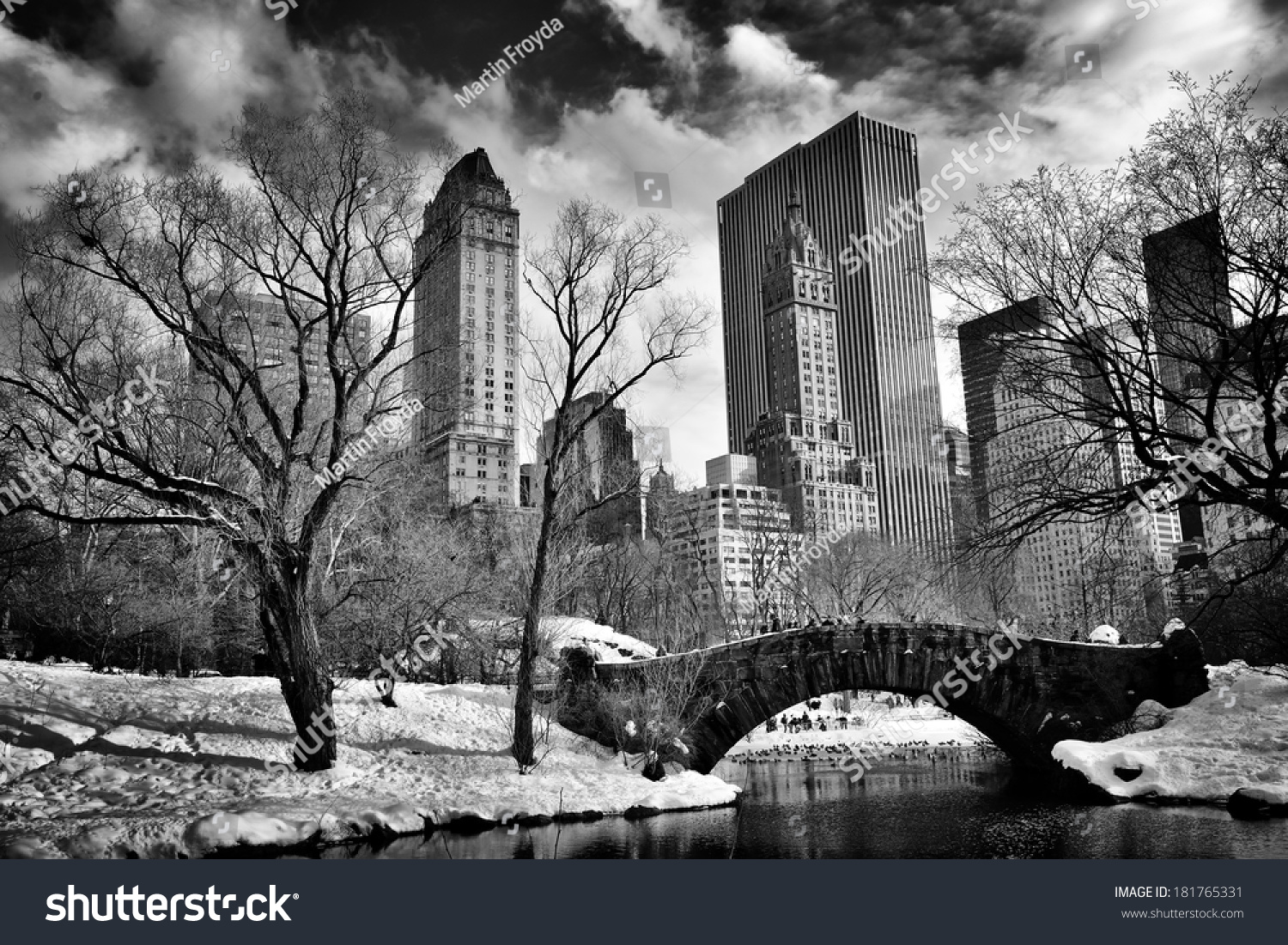 11,213 Black and white central park Images, Stock Photos & Vectors ...